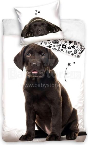Carbotex Bedding Dog 135x200/80x80cm Art.NL221227-4  Хлопковое постельное белье