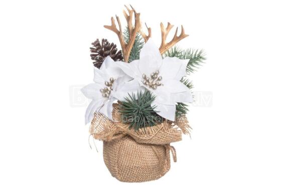 4Living Ponsettia un priede ar burlap maisiņu balts