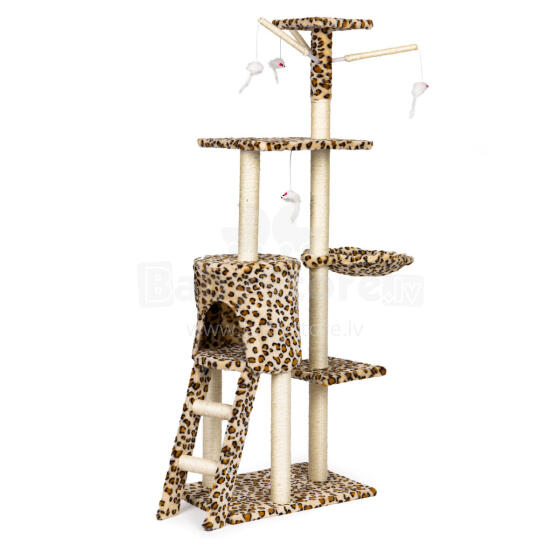 Cat Scratching Post Tree with House and Bed 138 cm XL Petsi