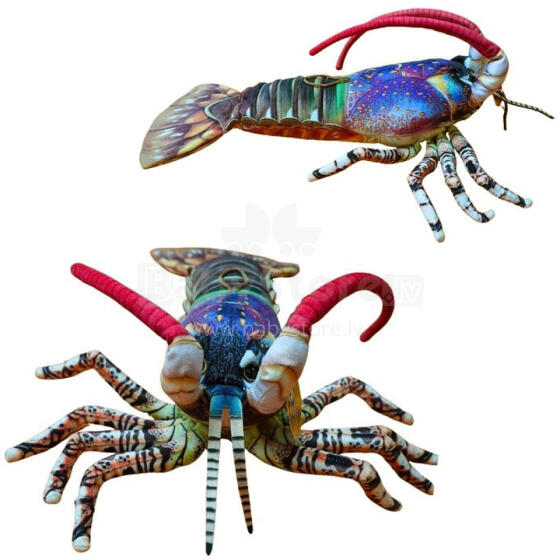 LANGUSTA