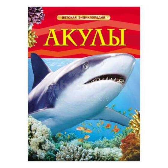 Kids Book Art.25764