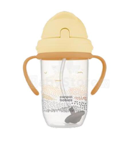 CANPOL BABIES non-spill bottle with weighted straw MOUNTAINS, 270 ml, 56/620_bei