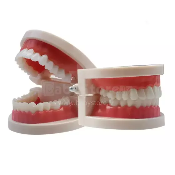 Doctor Set Smile Dentist Teeth Art.260086 Young/brave dentist set - Superhero smile