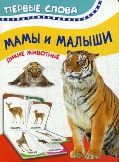 Kids Book Art.26118