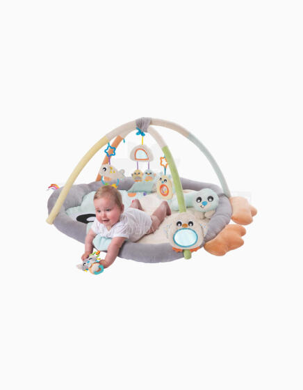 PLAYGRO Snuggle Me Penguin Tummy Time Gym, 018768178