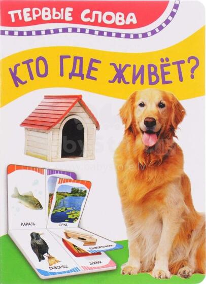 Кто где живет  .