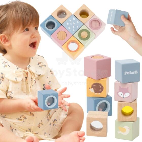VIGA Koka Sensora Bloki PolarB