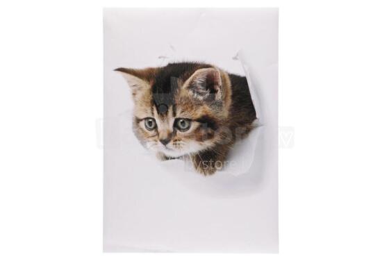 4Living Wall sticker cat 50 x 70 cm