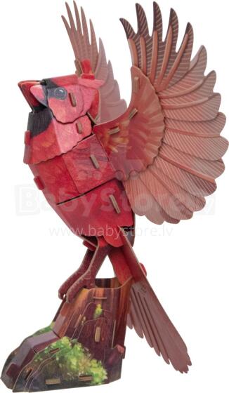 MAKEBUG 3D Paper puzzle American Cardinal, MB-D-0055
