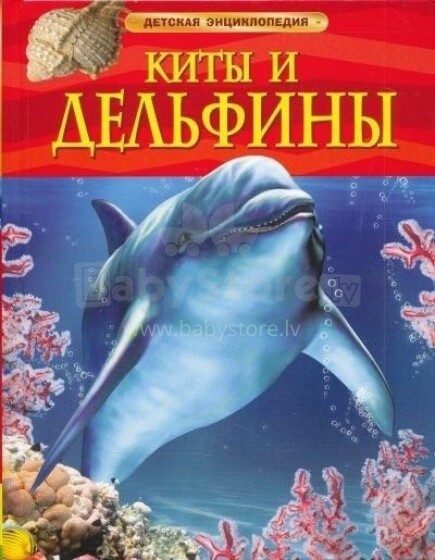 Kids Book Art.26859 Bērnu enciklopēdija  Vaļi un delfīni
