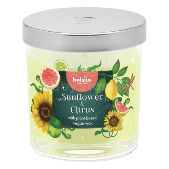 Svece arom. stikla gl. Floral Fusion &Oslash;80x72mm sunflower &amp;amp; citrus 