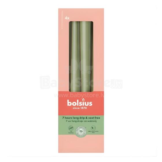 Table candles 4pcs. in a box 245/24mm olive green