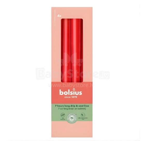 Table candles 4pcs. in a box 245/24mm red