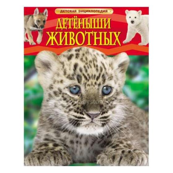 Kids Book Art.26959