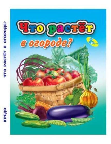 Kids Book Art.26988