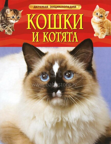 Vaikų knygų straipsnis. 27015 Vaikų enciklopedija Katės ir kačiukai