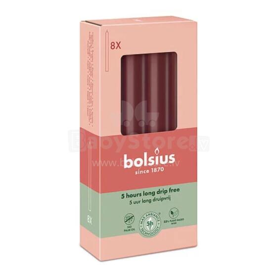 Table candles 8pcs. in a box 170/20mm dark red
