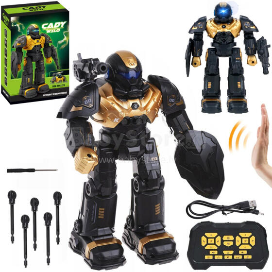 ROBOT NA RADIO