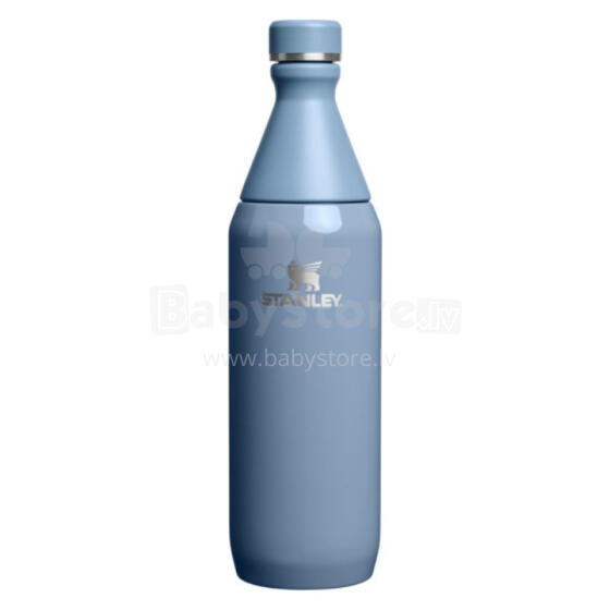 Thermos The All Day Slim Bottle 0.59L glossy blue-violet