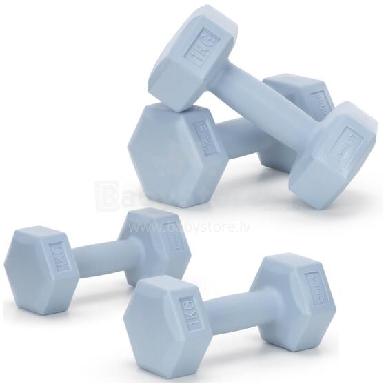 Dumbbells 2 x 1 kg ACT0156