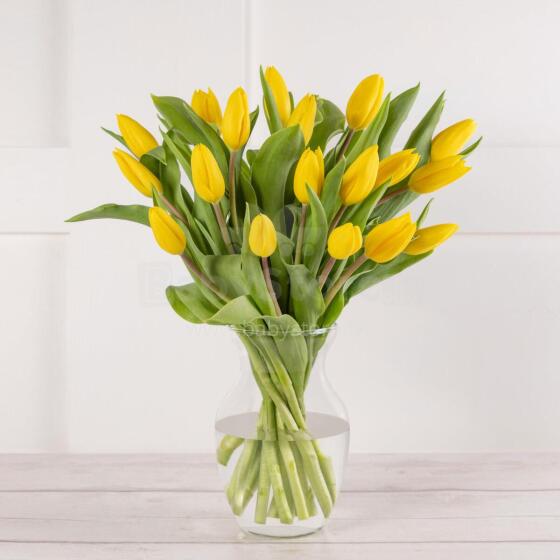 Fresh La Petit Fluer Art. LPT-TY9 Fresh Yellow Tulips Bouquet – 21 pcs (delivery next day to Pērnavas 5)