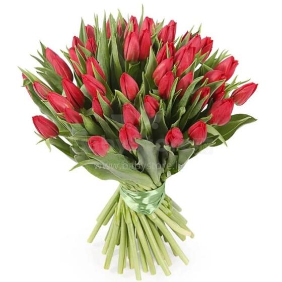 Fresh La Petit Fluer Art. LPT-TR51 Fresh Red Tulips Bouquet – 21 pcs (delivery next day to Pērnavas 5)