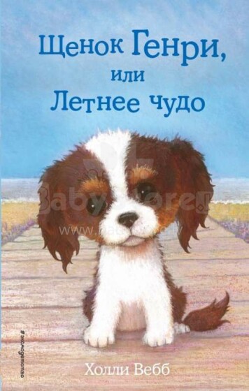 Vaikų knyga, 288211 Henry šuniukas arba „Vasaros stebuklas“
