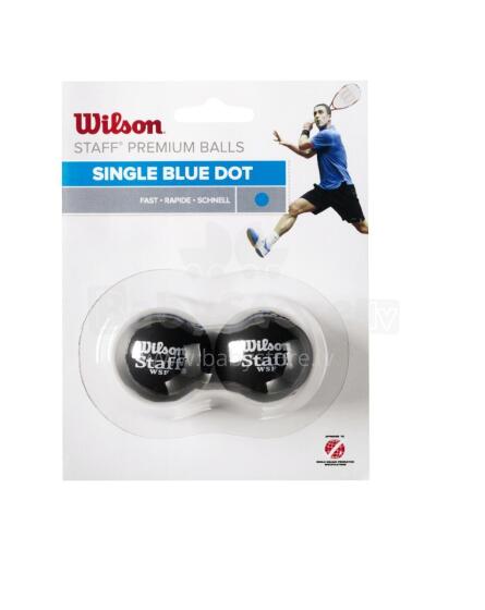 WILSON squash balls STAFF Pack of 2 - blue dot