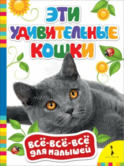 Vaikų knyga. 28282 vaikų knyga - šios nuostabios katės