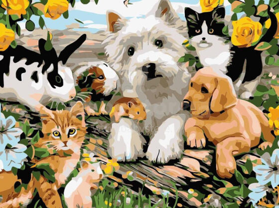 Painting by the numbers - 50838 - ANIMALS  - size 40x30 cm