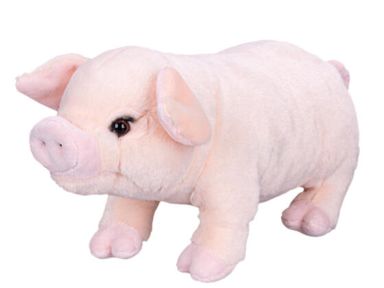 Plush toy  - 01506 - PIGGY - size 25 cm