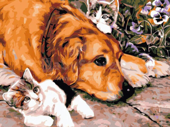 Painting by the numbers - 50814 - DOG & KITTENS- size 40x30 cm