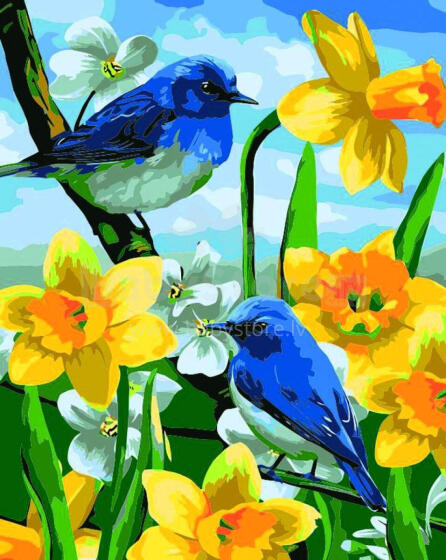 Painting by the numbers - 45971 - BLUE BIRDS - size 40x50 cm