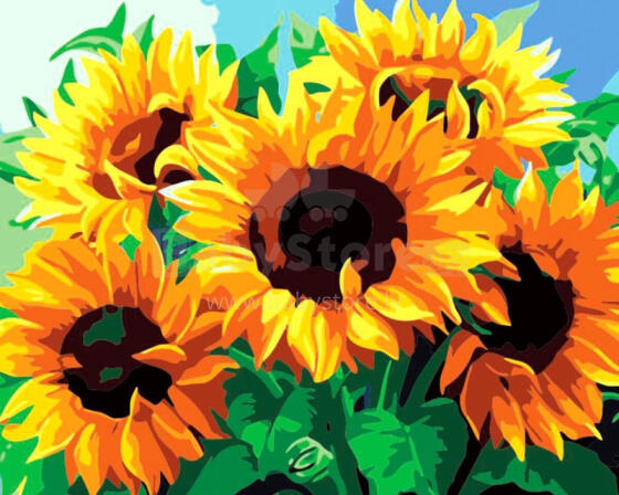 Gleznošana pēc numuriem - 45896 - SAULESPUĶI - izmērs 40x50 cm