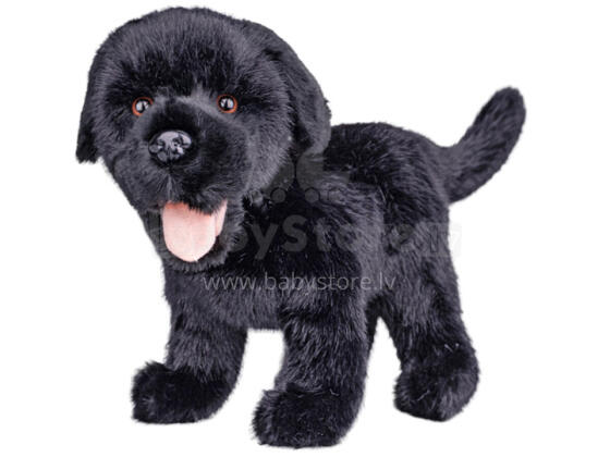 Mīkstā rotaļlieta - 04552 - SUNS - LABRADORS - MELNS - izmērs 23 cm