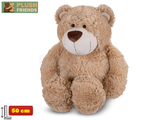 Plush toy  - 02435 - TEDDY BEAR - size 50 cm