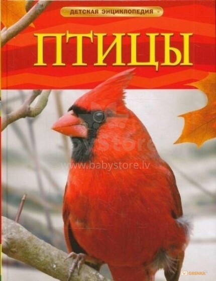Kids Book Art.28575 Bērnu enciklopēdija Putni