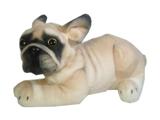 Mīkstā rotaļlieta - 03888 - BULDOGS - izmērs 26 cm