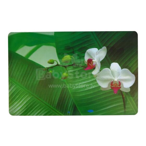 Placemat 43.5x28cm orchid