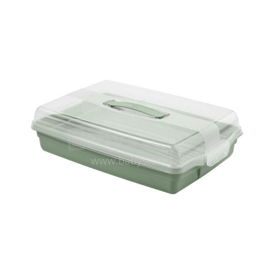 Cake transport box rectangular 45x29.5x11.1cm green