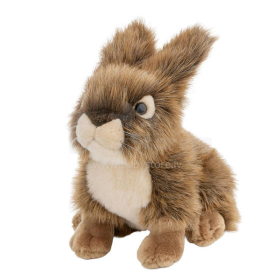Plush toy - 13397 - HARE  - size 18 cm