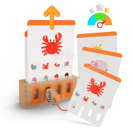 Logical Puzzles, Educational Game, Beginner Level, Topbright