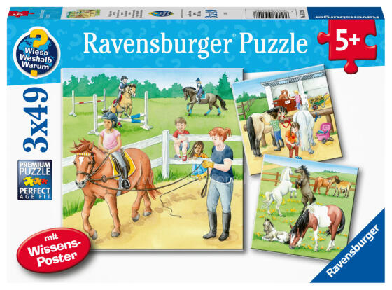 Ravensburger Puzzle 3x49 Pieces: Horses
