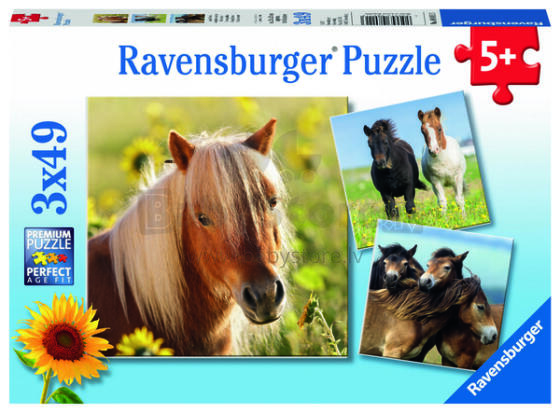 Ravensburger Puzzle 3x49 Pieces: Loving Horses
