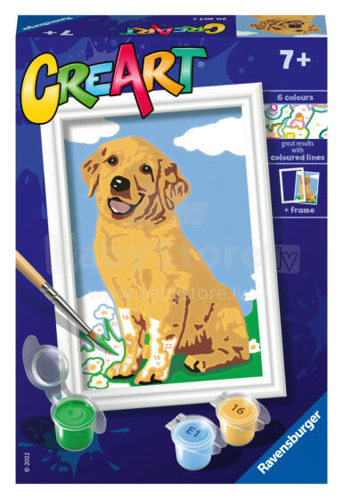 
Ravensburger Paint by Numbers Friendly Retriever