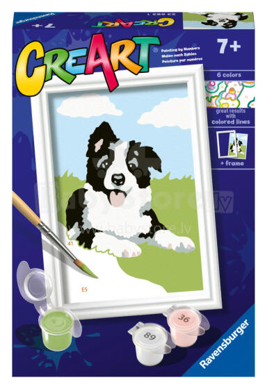 Ravensburger Krāsošana pēc numuriem Border Collie