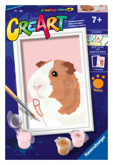 Ravensburger Paint by Numbers Guinea Pig