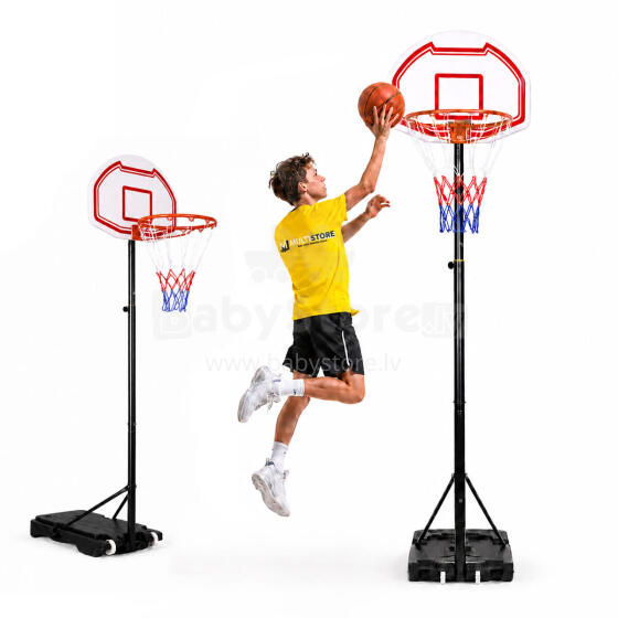 Basketball hoop, adjustable up to 210 cm, freestanding, backboard, rim, MultiGarden