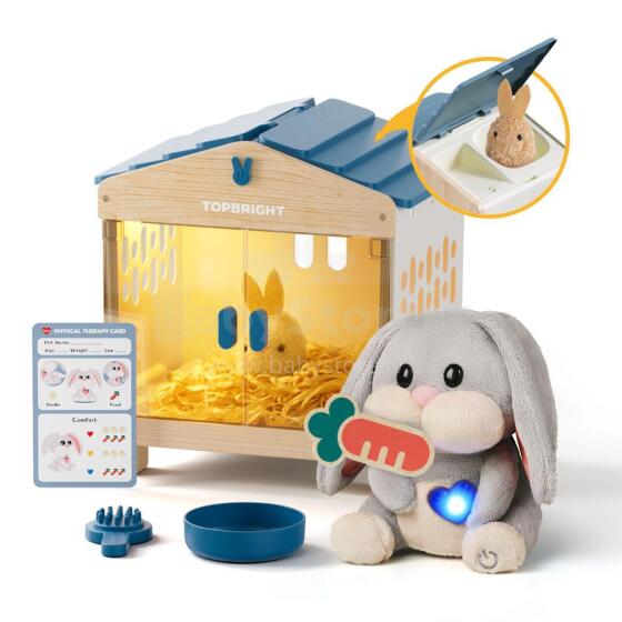Interactive Toy Mummy Bunny 36m+, TopBright









