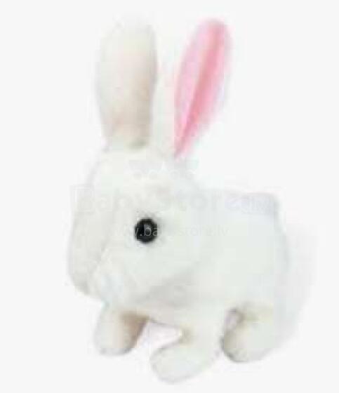 Hase Rabbit Art.35769